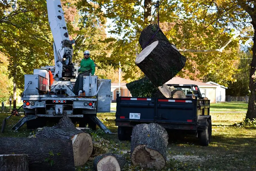 To The Top Tree Service - Brush and Lot Clearing, professionals us a crane to haul away pieces of felled trees - Springfield, IL