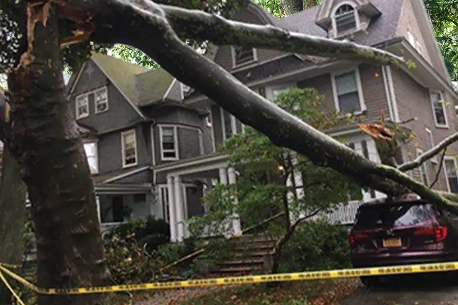 To The Top Tree Service - Emergency Storm Services, storm damage from large unstable tree - professional help needed - Springfield, IL