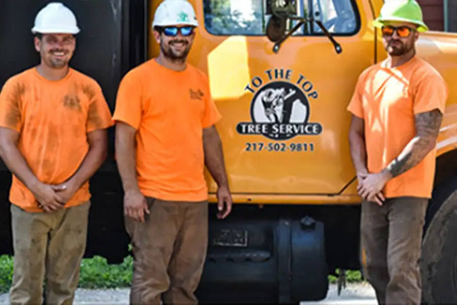To The Top Tree Service - professionals posing by company vehicle - Springfield, IL