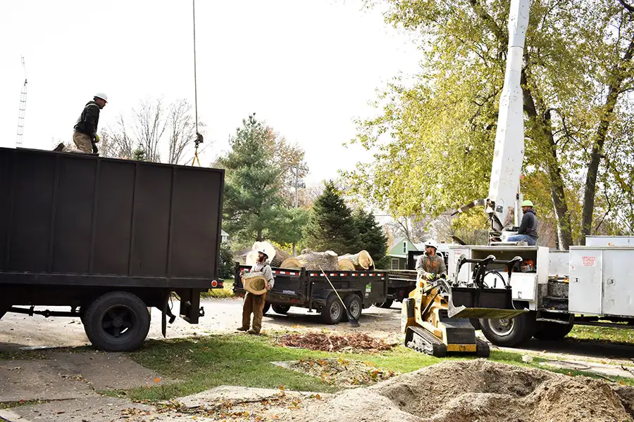 To The Top Tree Service - Brush and lot clearing services, team cleans up after tree removal - Springfield, IL